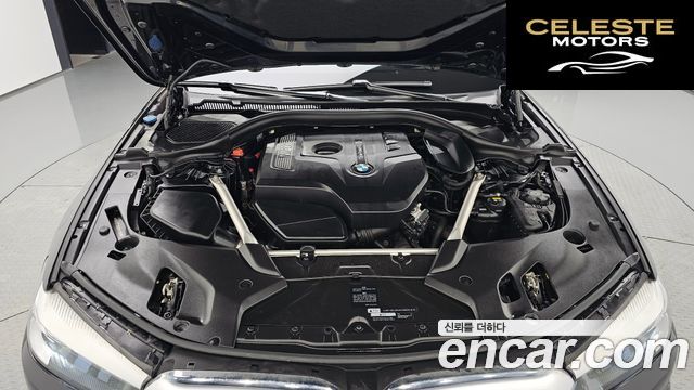 BMW Série 5 (G30) 520i Luxury 2019 — photo 6 sur 20