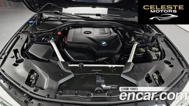BMW Série 5 (G30) 520i Luxury 2020 — photo 6 sur 20