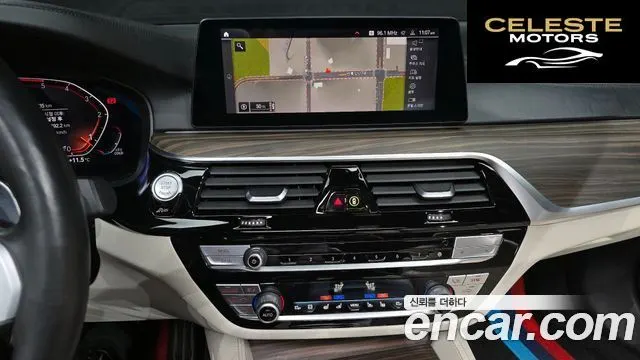 BMW Série 5 (G30) 520d M Sport Plus 2020 — photo 16 sur 20