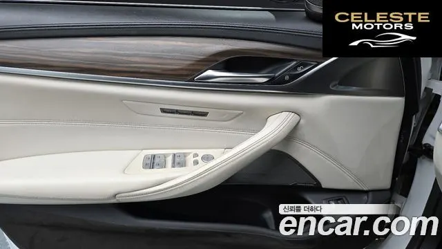 BMW Série 5 (G30) 520d M Sport Plus 2020 — photo 17 sur 20