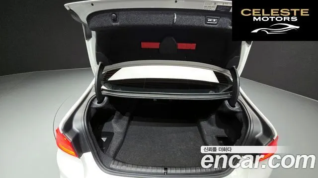 BMW Série 5 (G30) 520d M Sport Plus 2020 — photo 20 sur 20