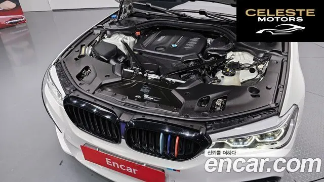 BMW Série 5 (G30) 520d M Sport Plus 2017 — photo 6 sur 20