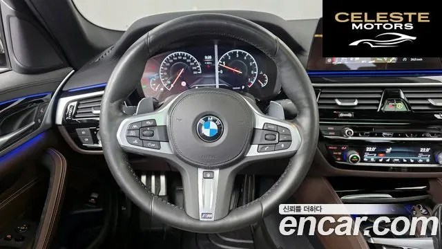 BMW Série 5 (G30) 530i M Sport Plus 2019 — photo 13 sur 20