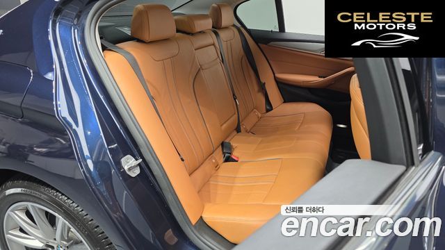 BMW Série 5 (G30) 520i Luxury 2019 — photo 12 sur 20