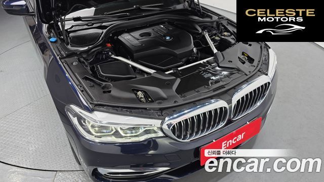 BMW Série 5 (G30) 520i Luxury 2019 — photo 6 sur 20