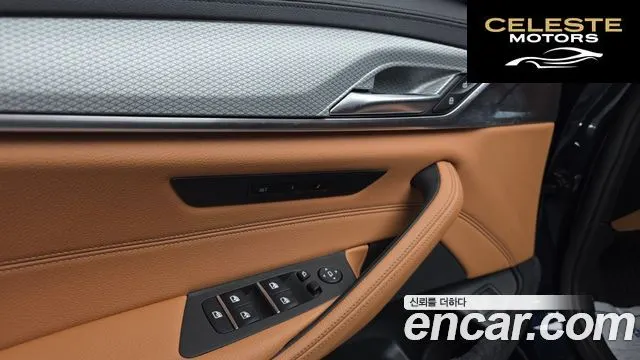 BMW Série 5 (G30) 520i Luxury 2019 — photo 18 sur 20