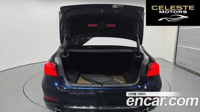 BMW Série 5 (G30) 520i Luxury 2019 — photo 20 sur 20