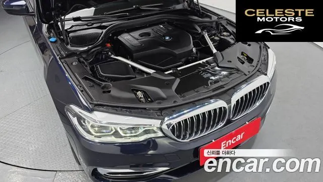 BMW Série 5 (G30) 520i Luxury 2019 — photo 6 sur 20