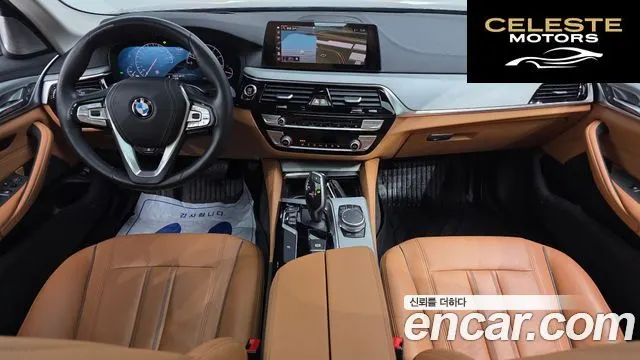 BMW Série 5 (G30) 520i Luxury 2019 — photo 7 sur 20