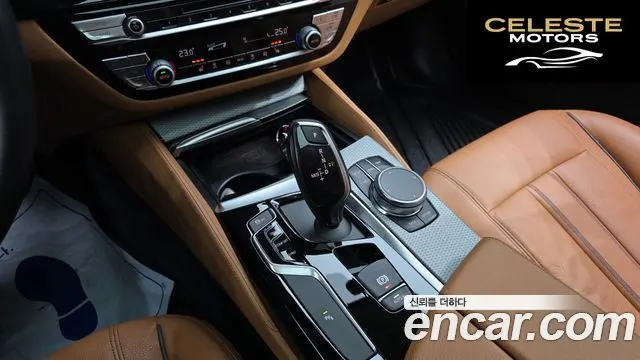 BMW Série 5 (G30) 520i Luxury 2019 — photo 9 sur 20