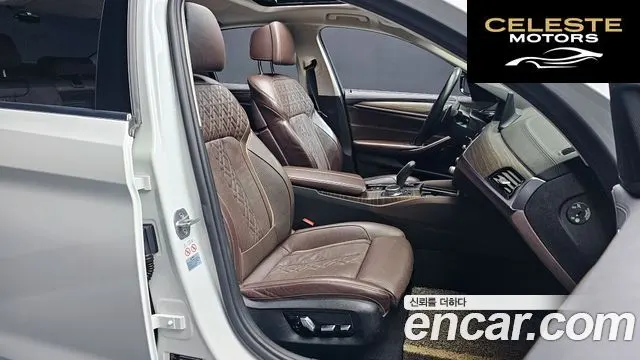 BMW Série 5 (G30) 530i xDrive Luxury Plus 2019 — photo 10 sur 20