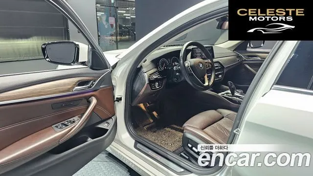 BMW Série 5 (G30) 530i xDrive Luxury Plus 2019 — photo 11 sur 20