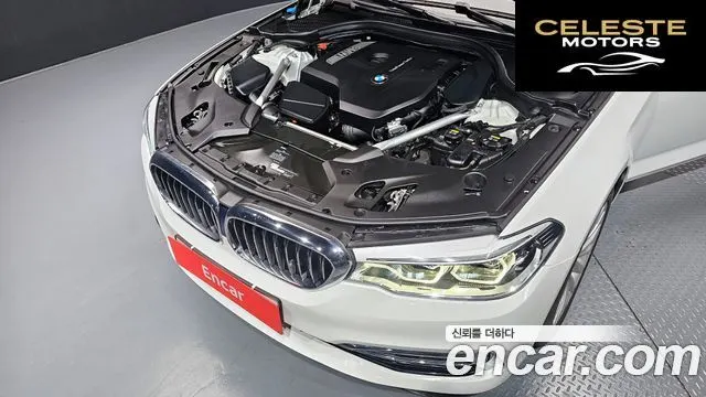 BMW Série 5 (G30) 530i xDrive Luxury Plus 2019 — photo 6 sur 20