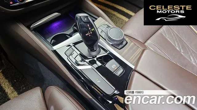 BMW Série 5 (G30) 530i xDrive Luxury Plus 2019 — photo 9 sur 20