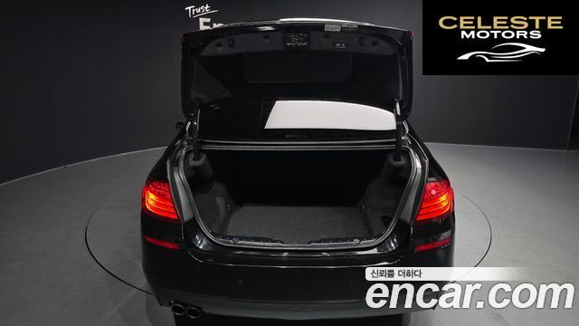 BMW Série 5 (F10) 530d xDrive M Aéro Dynamic 2016 — photo 20 sur 20