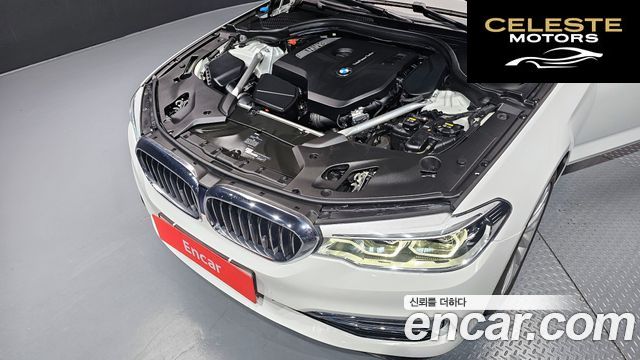 BMW Série 5 (G30) 530i xDrive Luxury Plus 2019 — photo 6 sur 20
