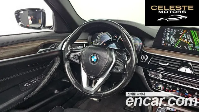 BMW Série 5 (G30) 520d M Sport Plus 2017 — photo 13 sur 20