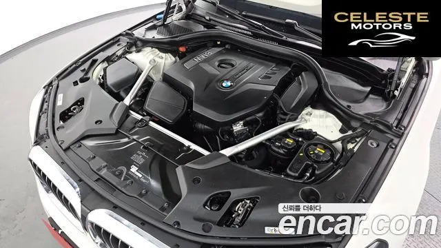 BMW Série 5 (G30) 520i Luxury 2018 — photo 6 sur 26