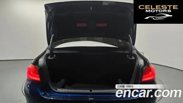 BMW Série 5 (G30) 520i Luxury 2020 — photo 19 sur 26