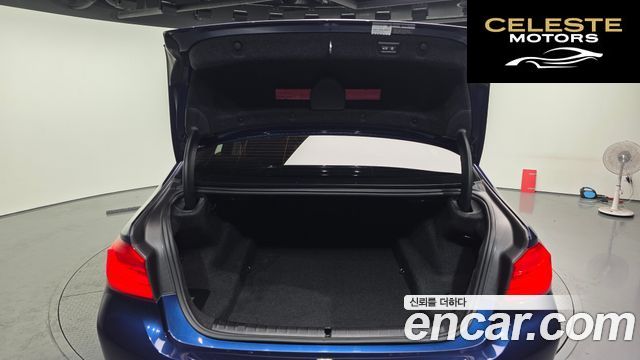 BMW Série 5 (G30) 520d Luxury Plus 2020 — photo 20 sur 20