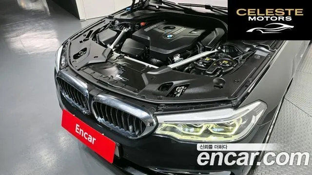 BMW Série 5 (G30) 530i xDrive Luxury Plus 2018 — photo 6 sur 20