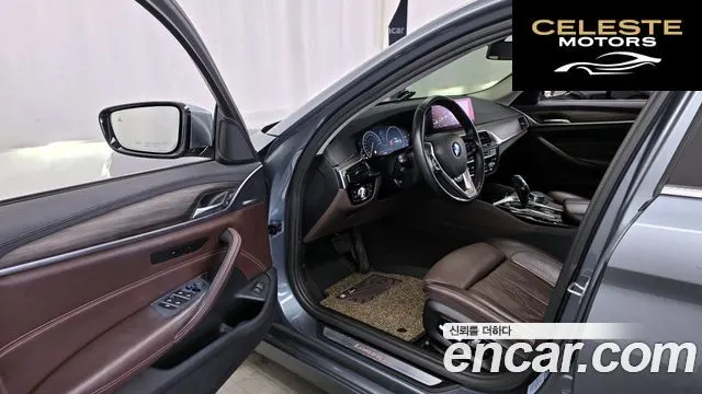 BMW Série 5 (G30) 520d xDrive Luxury Plus 2019 — photo 10 sur 20