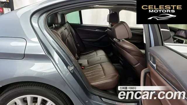 BMW Série 5 (G30) 520d xDrive Luxury Plus 2019 — photo 12 sur 20