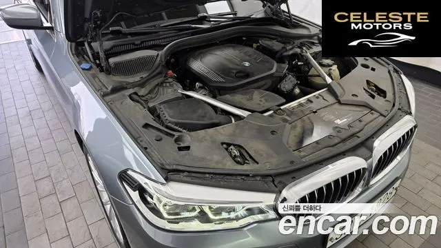 BMW Série 5 (G30) 520d xDrive Luxury Plus 2019 — photo 6 sur 20