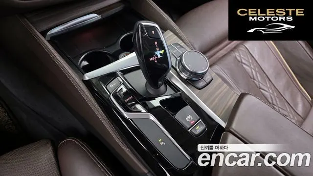 BMW Série 5 (G30) 520d xDrive Luxury Plus 2019 — photo 9 sur 20
