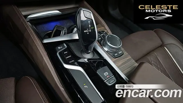 BMW Série 5 (G30) 530i xDrive Luxury Plus 2019 — photo 9 sur 20