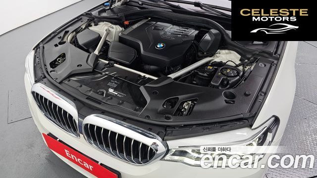 BMW Série 5 (G30) 530i Luxury Plus 2020 — photo 6 sur 20