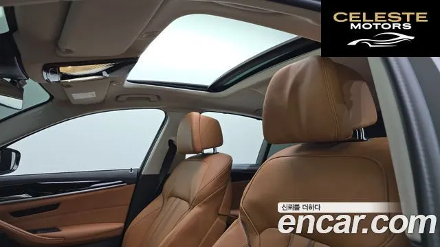 BMW Série 5 (G30) 520i Luxury 2022 — photo 19 sur 20