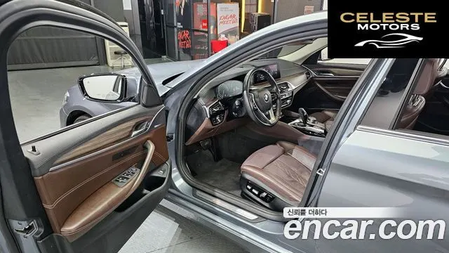BMW Série 5 (G30) 520d xDrive Luxury Plus 2019 — photo 10 sur 20