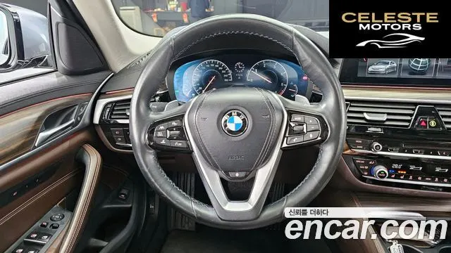 BMW Série 5 (G30) 520d xDrive Luxury Plus 2019 — photo 13 sur 20