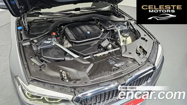 BMW Série 5 (G30) 520d xDrive Luxury Plus 2019 — photo 6 sur 20