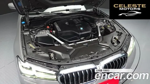 BMW Série 5 (G30) 530i Luxury 2022 — photo 6 sur 20