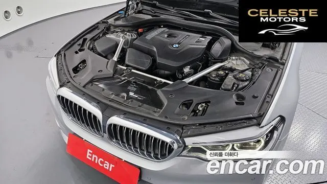 BMW Série 5 (G30) 530i xDrive Luxury Plus 2019 — photo 6 sur 20