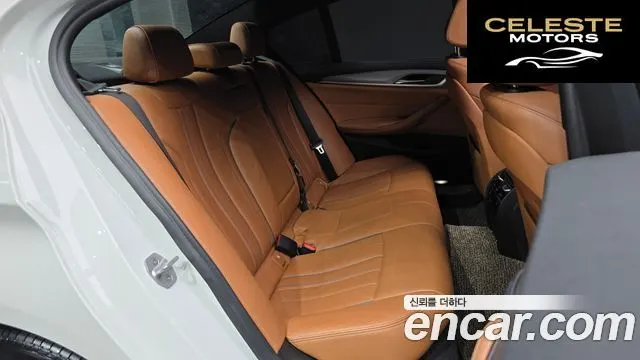 BMW Série 5 (G30) 520d M Sport 2017 — photo 12 sur 20