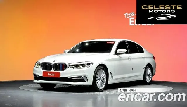 BMW Série 5 (G30) 520d xDrive Luxury Plus 2020 — photo 20 sur 20