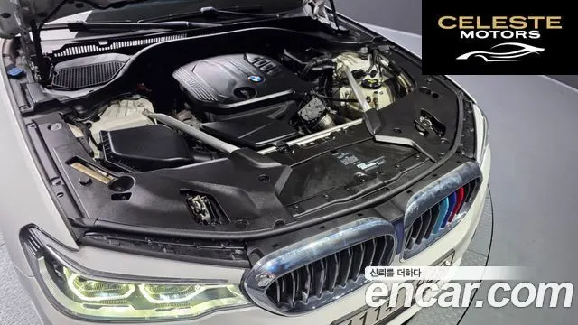 BMW Série 5 (G30) 520d xDrive Luxury Plus 2020 — photo 5 sur 20