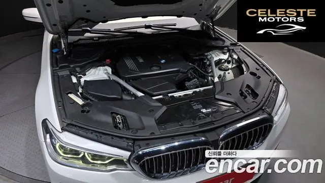 BMW Série 5 (G30) 520d Luxury Spécial Edition 2018 — photo 6 sur 20
