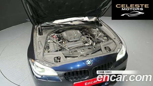 BMW Série 5 (F10) 520d xDrive M Aéro Dynamic 2016 — photo 6 sur 26