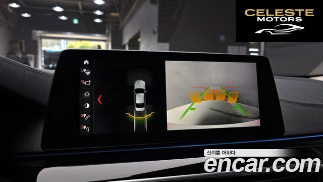 BMW Série 5 (G30) 520d Luxury Spécial Edition 2018 — photo 15 sur 20
