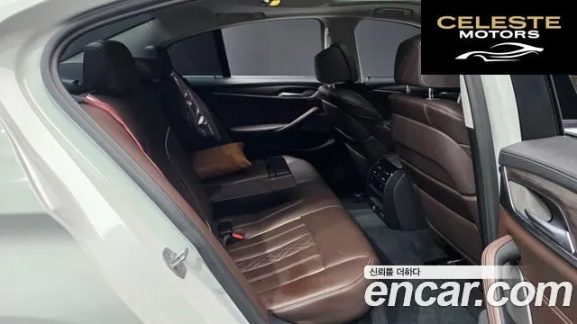 BMW Série 5 (G30) 520d xDrive Luxury Plus 2020 — photo 11 sur 20