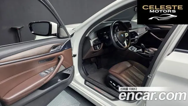 BMW Série 5 (G30) 520d xDrive Luxury Plus 2020 — photo 9 sur 20