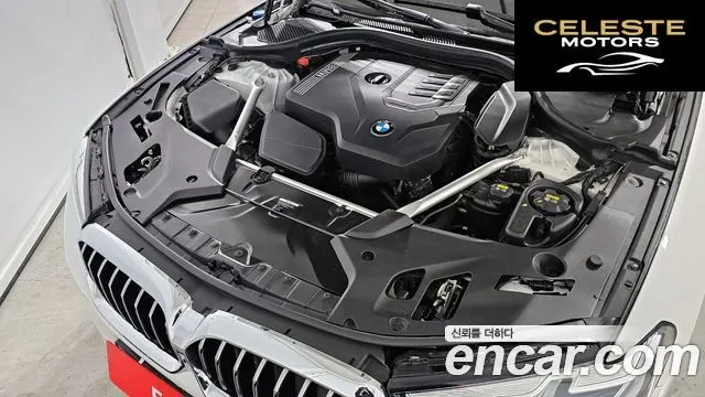 BMW Série 5 (G30) 530i Luxury 2022 — photo 6 sur 20