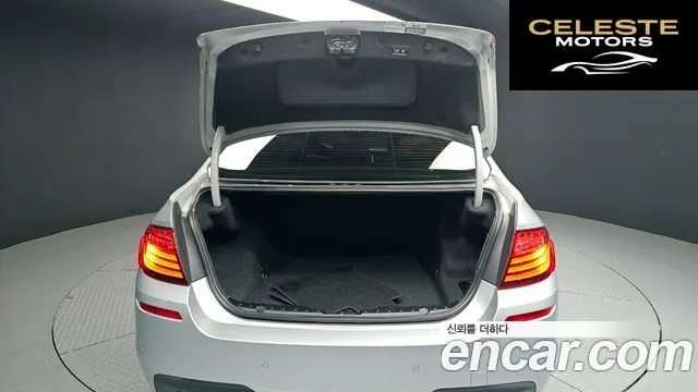 BMW Série 5 (F10) 520d xDrive M Aéro Dynamic 2016 — photo 20 sur 20