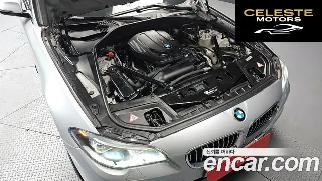 BMW Série 5 (F10) 520d xDrive M Aéro Dynamic 2016 — photo 6 sur 20