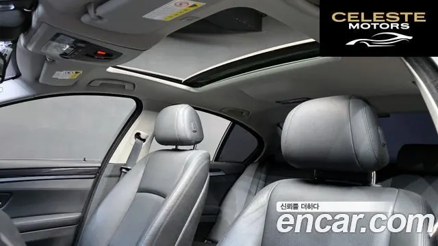 BMW Série 5 (F10) 520d xDrive 2015 — photo 19 sur 20