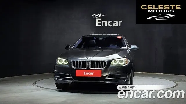 BMW Série 5 (F10) 520d xDrive 2015 — photo 3 sur 20